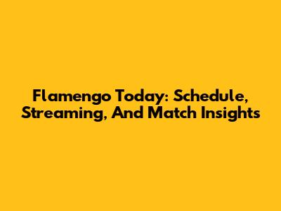 Flamengo Today: Schedule, Streaming, And Match Insights
