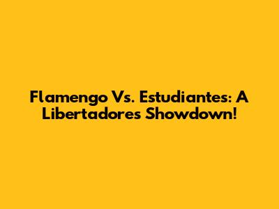 Flamengo Vs. Estudiantes: A Libertadores Showdown!