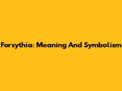 Forsythia: Meaning And Symbolism