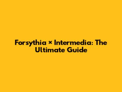 Forsythia × Intermedia: The Ultimate Guide