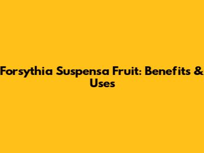 Forsythia Suspensa Fruit: Benefits & Uses