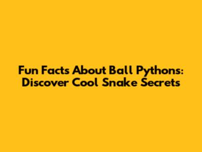 Fun Facts About Ball Pythons: Discover Cool Snake Secrets