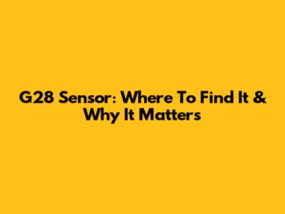 G28 Sensor: Where To Find It & Why It Matters