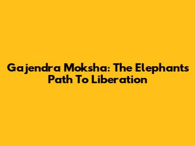 Gajendra Moksha: The Elephant's Path To Liberation