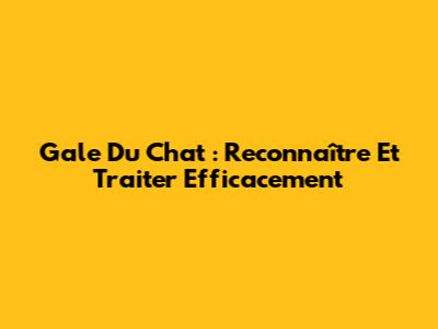 Gale Du Chat : Reconnaître Et Traiter Efficacement