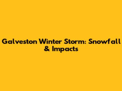 Galveston Winter Storm: Snowfall & Impacts