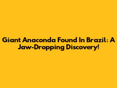 Giant Anaconda Found In Brazil: A Jaw-Dropping Discovery!
