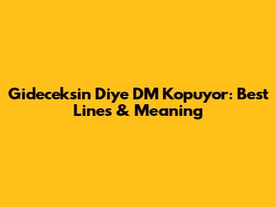 Gideceksin Diye DM Kopuyor: Best Lines & Meaning