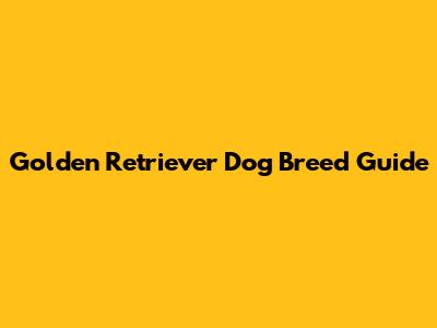 Golden Retriever Dog Breed Guide