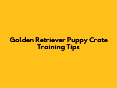 Golden Retriever Puppy Crate Training Tips