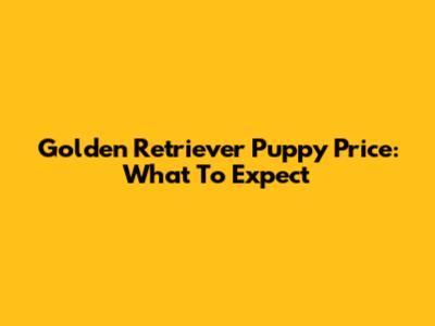Golden Retriever Puppy Price: What To Expect
