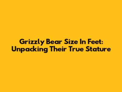 Grizzly Bear Size In Feet: Unpacking Their True Stature