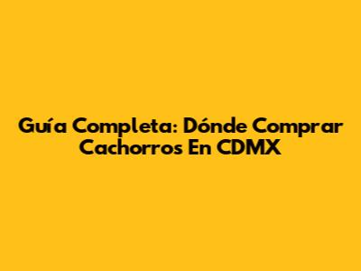 Guía Completa: Dónde Comprar Cachorros En CDMX