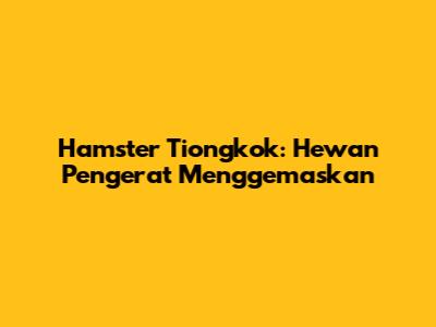 Hamster Tiongkok: Hewan Pengerat Menggemaskan