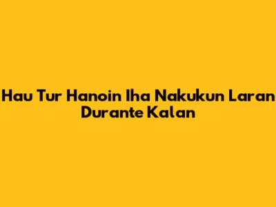 Hau Tur Hanoin Iha Nakukun Laran Durante Kalan