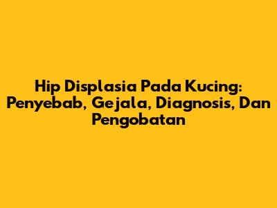 Hip Displasia Pada Kucing: Penyebab, Gejala, Diagnosis, Dan Pengobatan