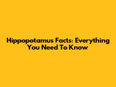 Hippopotamus Facts: Everything You Need To Know