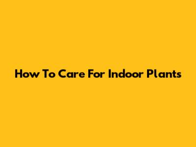 How To Care For Indoor Plants