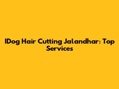 IDog Hair Cutting Jalandhar: Top Services