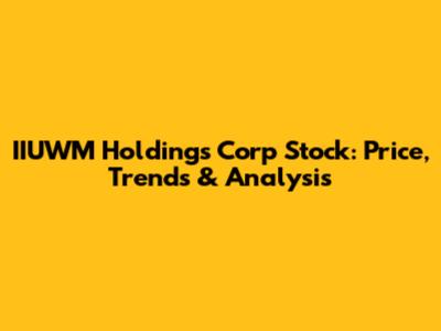 IIUWM Holdings Corp Stock: Price, Trends & Analysis