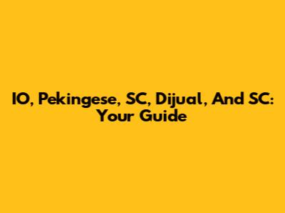 IO, Pekingese, SC, Dijual, And SC: Your Guide
