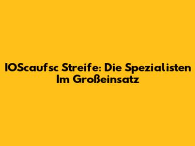 IOScaufsc Streife: Die Spezialisten Im Großeinsatz