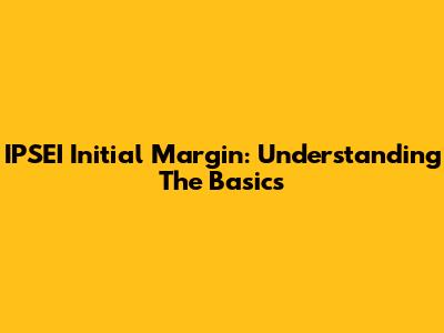 IPSEI Initial Margin: Understanding The Basics