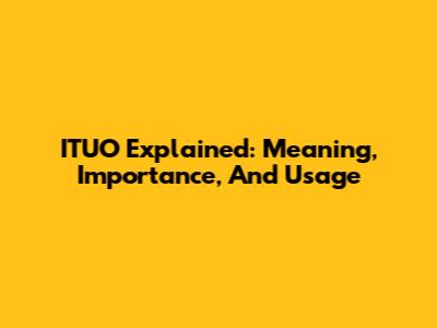 ITUO Explained: Meaning, Importance, And Usage