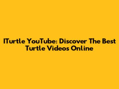 ITurtle YouTube: Discover The Best Turtle Videos Online