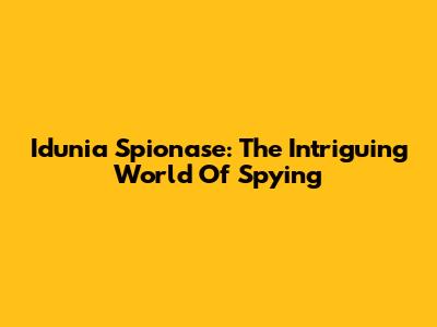 Idunia Spionase: The Intriguing World Of Spying