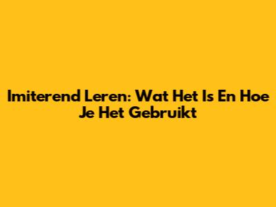 Imiterend Leren: Wat Het Is En Hoe Je Het Gebruikt