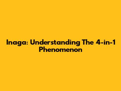 Inaga: Understanding The 4-in-1 Phenomenon