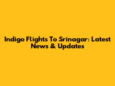 Indigo Flights To Srinagar: Latest News & Updates