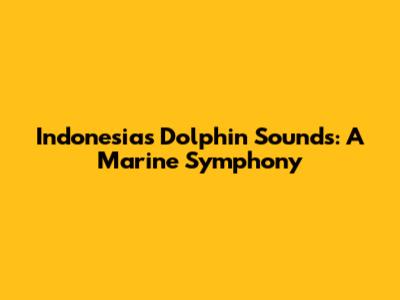 Indonesia's Dolphin Sounds: A Marine Symphony