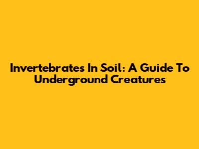 Invertebrates In Soil: A Guide To Underground Creatures