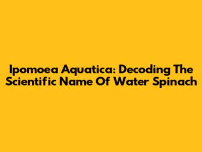 Ipomoea Aquatica: Decoding The Scientific Name Of Water Spinach