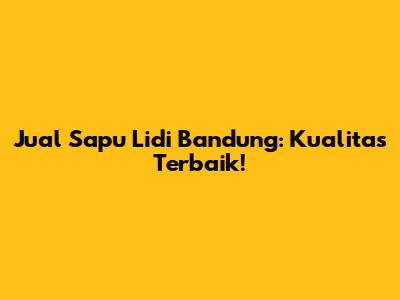 Jual Sapu Lidi Bandung: Kualitas Terbaik!