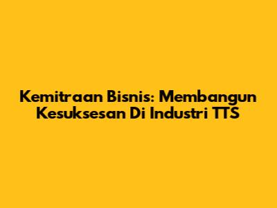 Kemitraan Bisnis: Membangun Kesuksesan Di Industri TTS