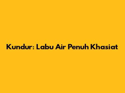 Kundur: Labu Air Penuh Khasiat
