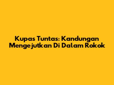 Kupas Tuntas: Kandungan Mengejutkan Di Dalam Rokok