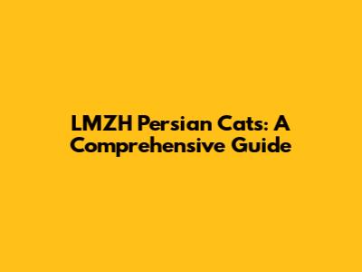 LMZH Persian Cats: A Comprehensive Guide