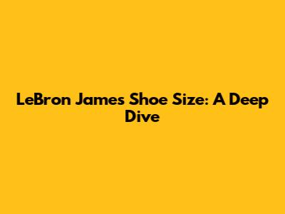 LeBron James' Shoe Size: A Deep Dive