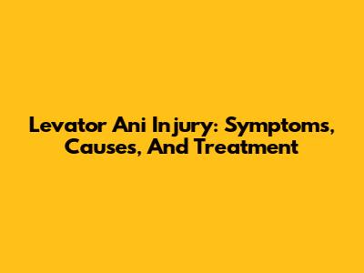 Levator Ani Injury: Symptoms, Causes, And Treatment