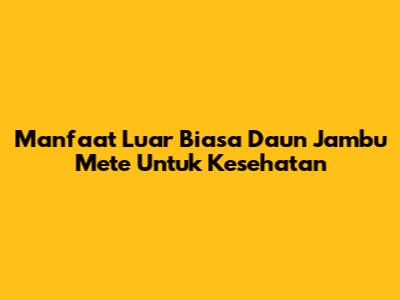 Manfaat Luar Biasa Daun Jambu Mete Untuk Kesehatan