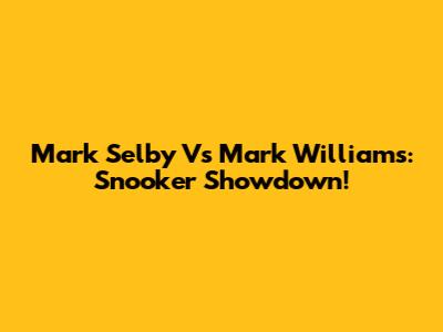 Mark Selby Vs Mark Williams: Snooker Showdown!