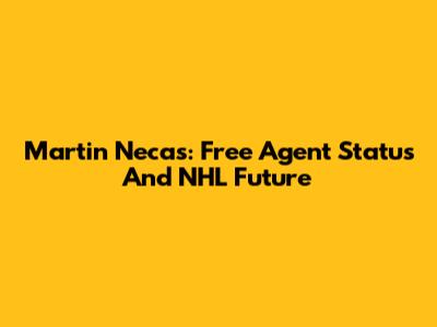 Martin Necas: Free Agent Status And NHL Future