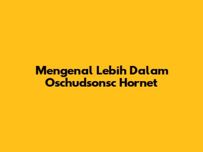 Mengenal Lebih Dalam Oschudsonsc Hornet