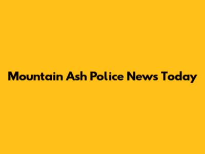 Mountain Ash Police News Today