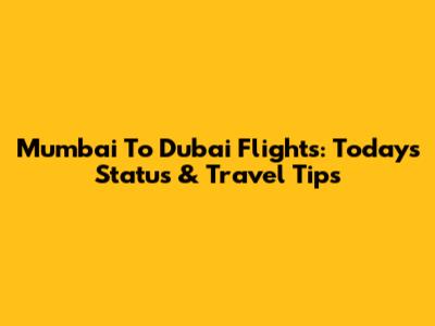 Mumbai To Dubai Flights: Today's Status & Travel Tips