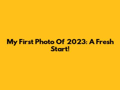 My First Photo Of 2023: A Fresh Start!